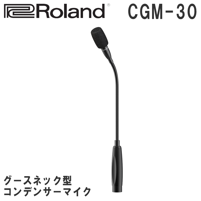 Roland グースネックコンデンサーマイク CGM-30【福山楽器センター】